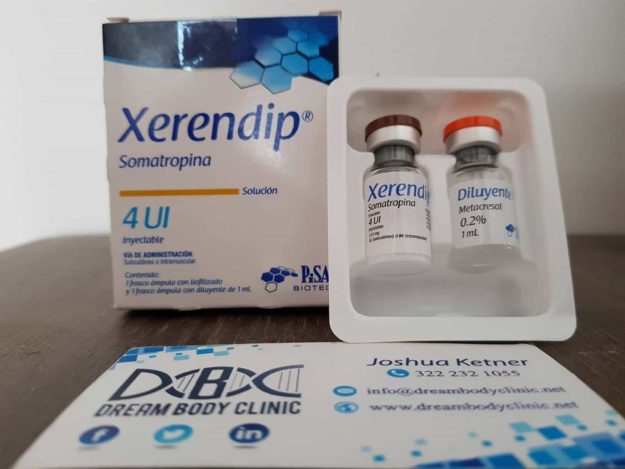 pisa lab xerendip review dreambody.clinic