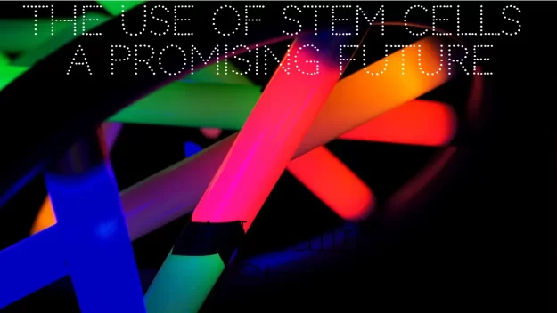 11 THE USE OF STEM CELLS A PROMISING FUTURE