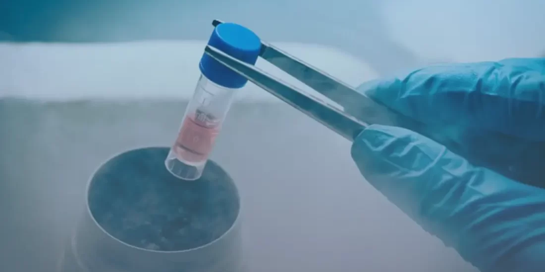 The Future Of Dental Stem Cell Treatments