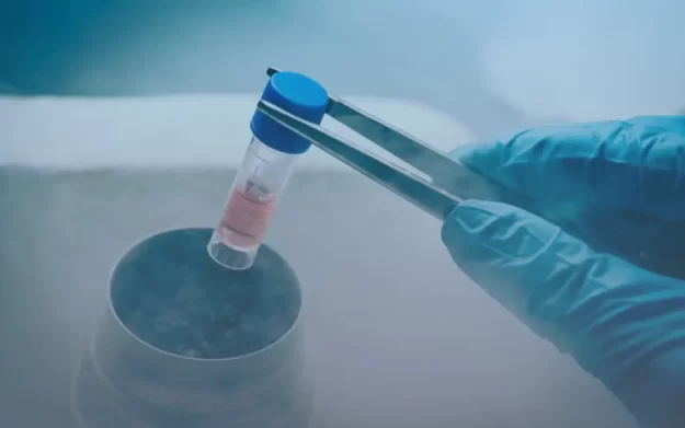 The Future Of Dental Stem Cell Treatments