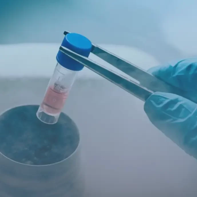 The Future Of Dental Stem Cell Treatments