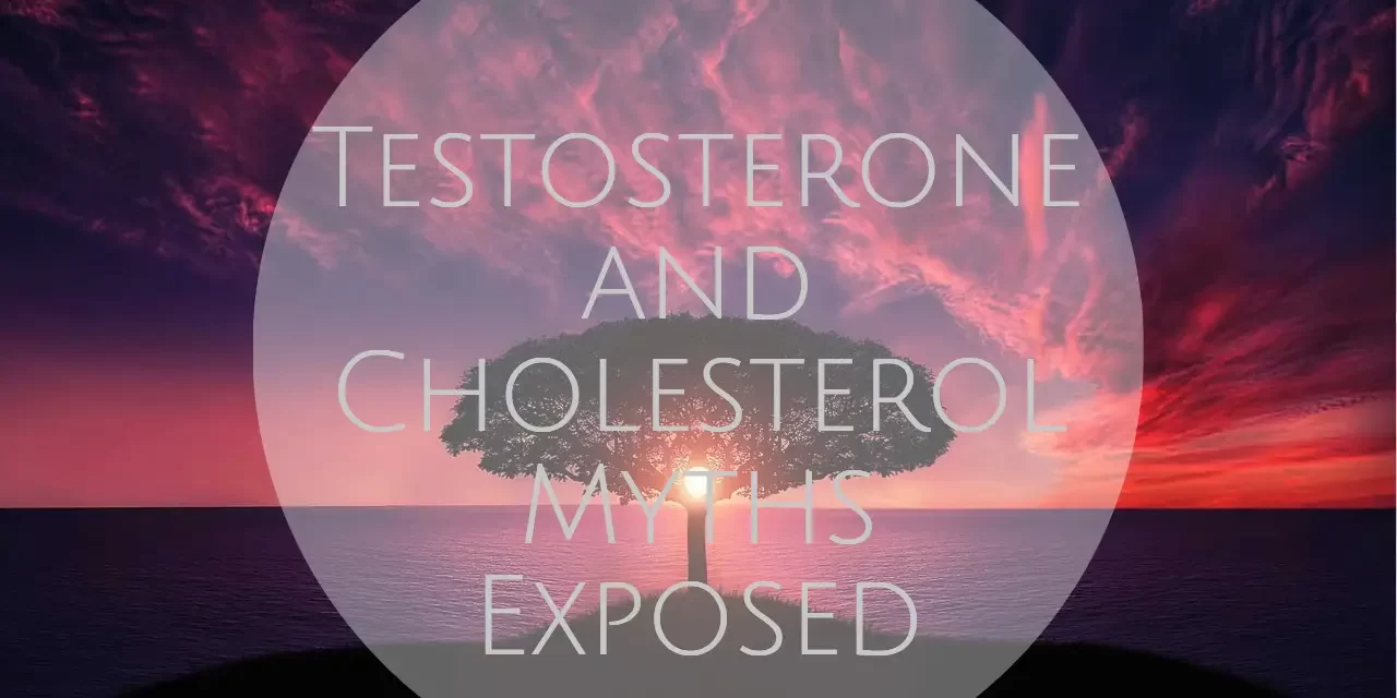 Testosterone and Cholesterol Myths Exposed dreambody clinic