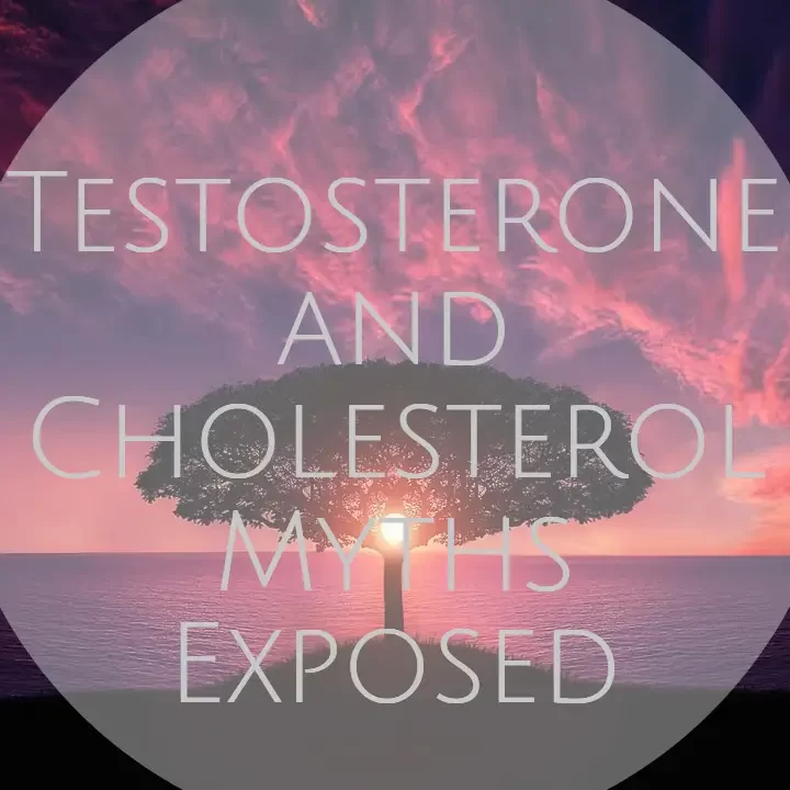Testosterone and Cholesterol Myths Exposed dreambody clinic
