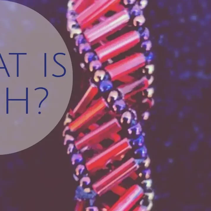 what is hgh the dreambody clinic. the hgh