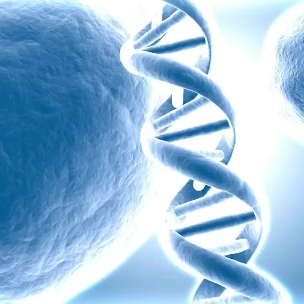 hgh treatments at dreambody clinic