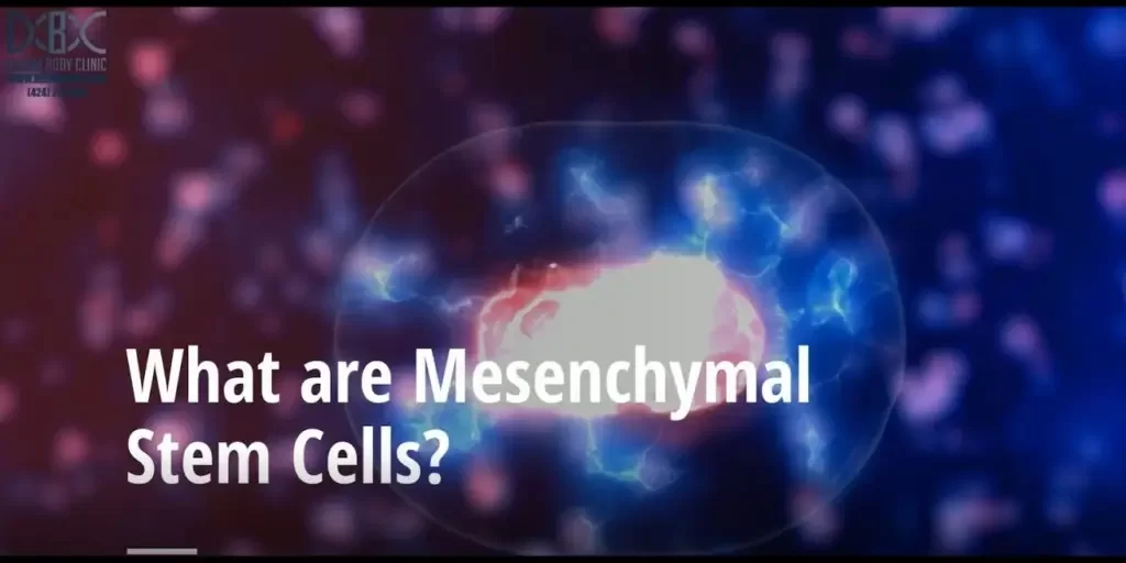 what are stem cells? How do stem cells work?