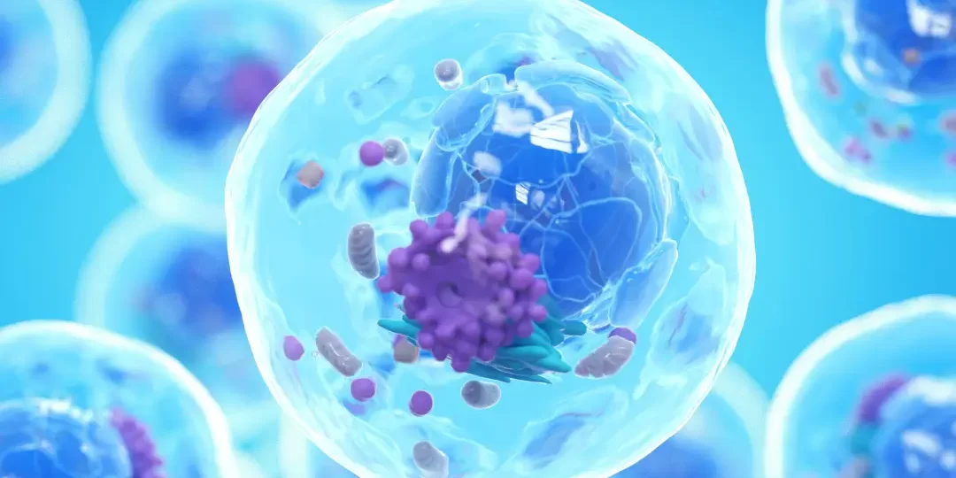 great stem cell therapy questions and answers dream body clinic