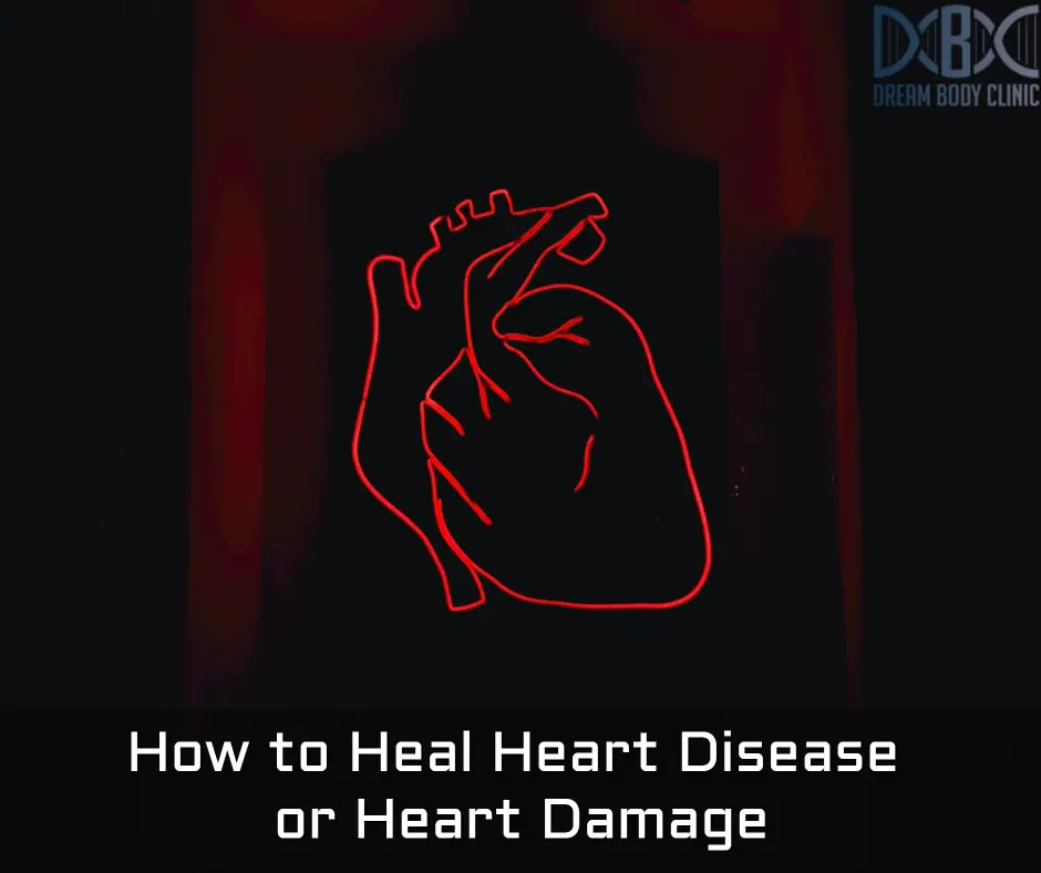 How to Heal Heart Disease or Heart Damage