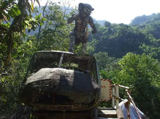 el eden predator set zipline dream body clinic 2