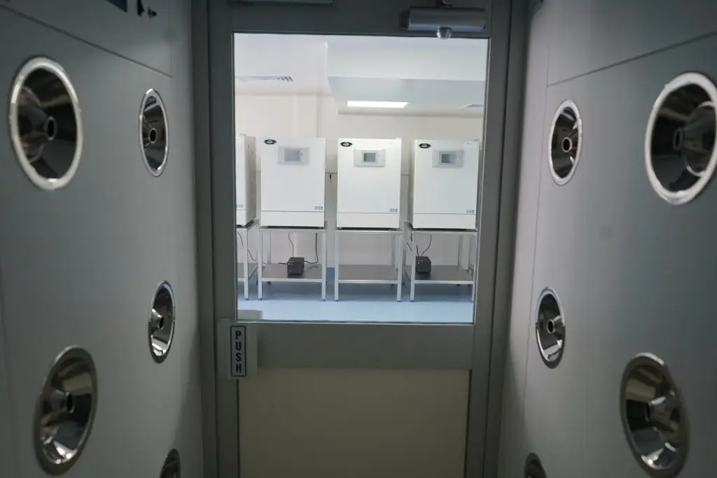 Dream Body Clinic Lab 2