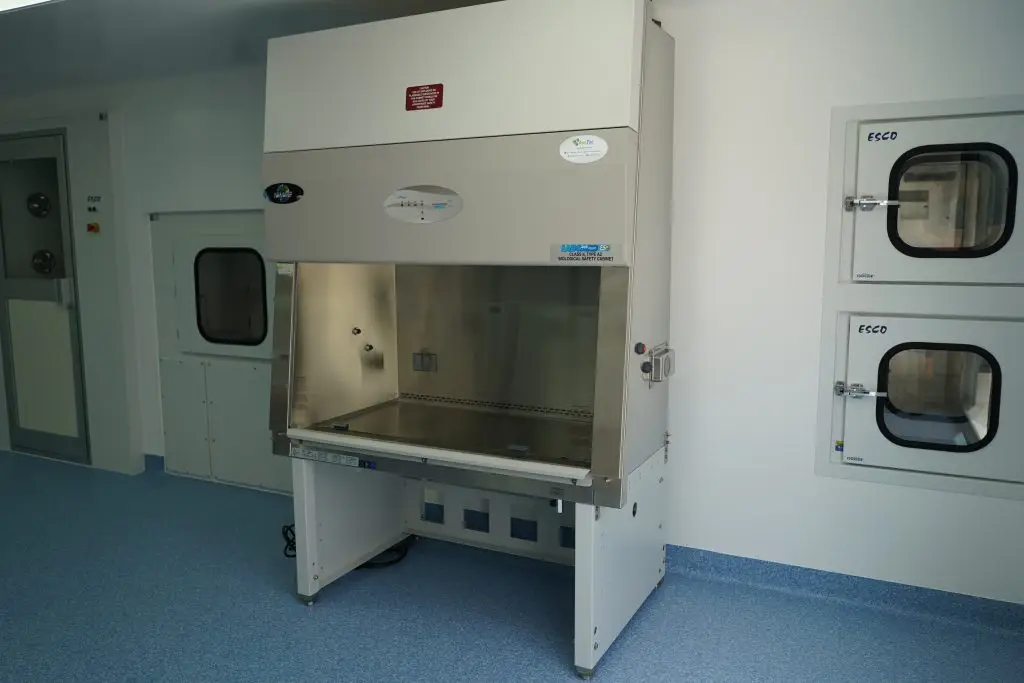 Dream Body Clinic Lab 3