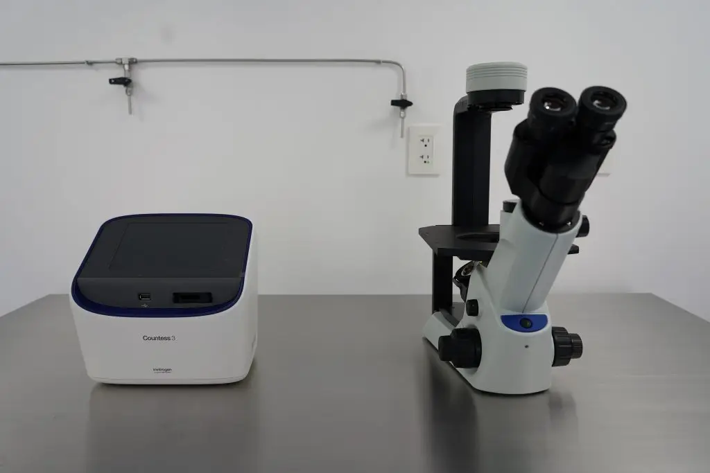 Dream Body Clinic Lab 5