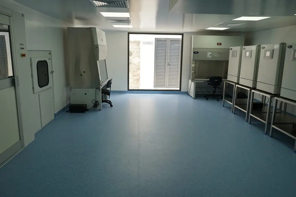Dream Body Clinic Lab 1
