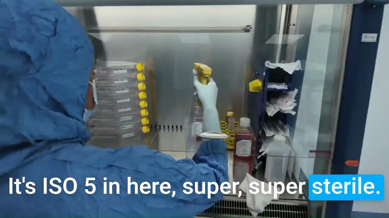 Dream Body Clinic Stem Cell Lab Tour 2026