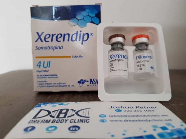 pisa lab xerendip review dreambody.clinic