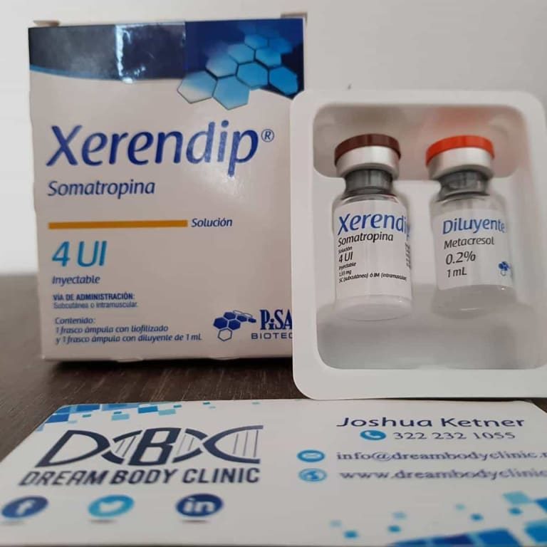 pisa lab xerendip review dreambody.clinic