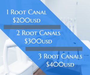 root canal costs dreambody clinic