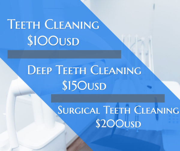 Dental Dreambody Clinic