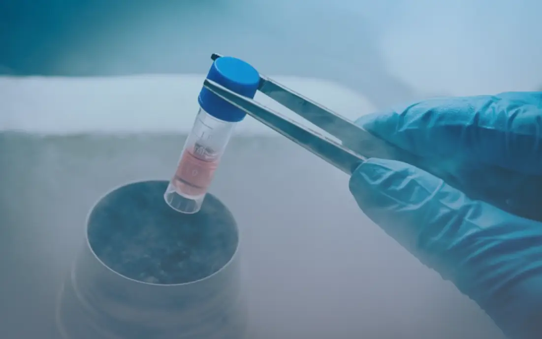 The Future Of Dental Stem Cell Treatments