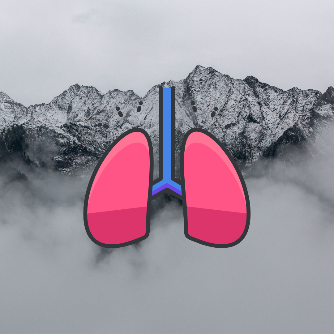 pulmonary Fibrosis stem cell treatment