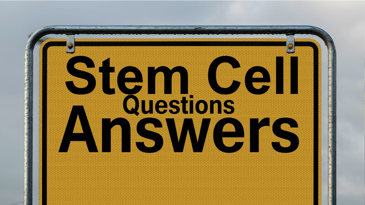 Stem Cells FAQ Frequently Asked Questions Dream Body Clinic