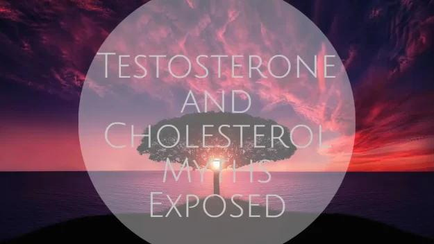 Testosterone and Cholesterol Myths Exposed dreambody clinic Testosterone and Cholesterol Myths Exposed dreambody clinic