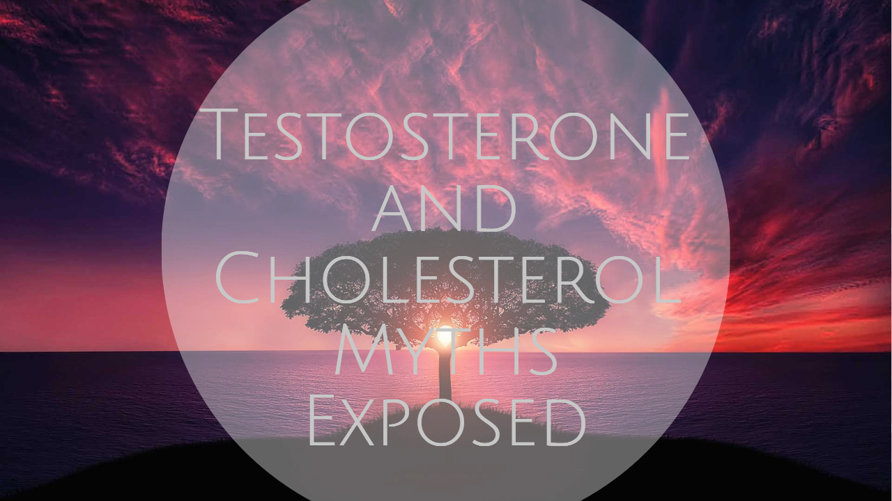 Testosterone and Cholesterol Myths Exposed dreambody clinic