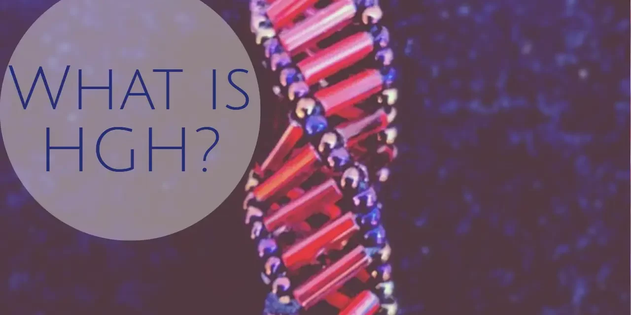 what is hgh the dreambody clinic. the hgh