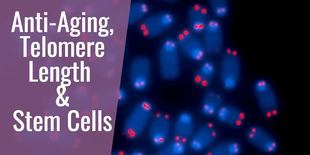 anti-aging telomere length and stem cells at dreambody clinic
