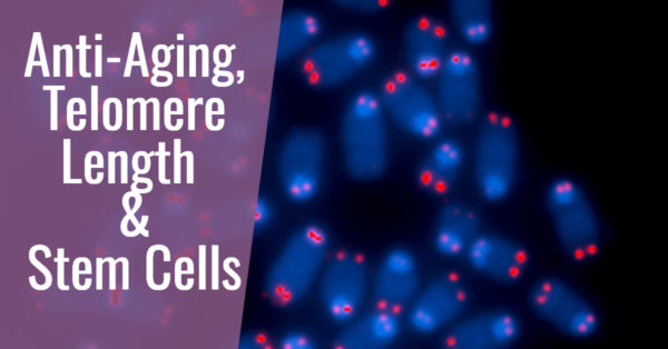 anti-aging telomere length and stem cells at dreambody clinic