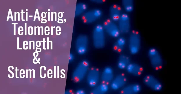 anti-aging telomere length and stem cells at dreambody clinic