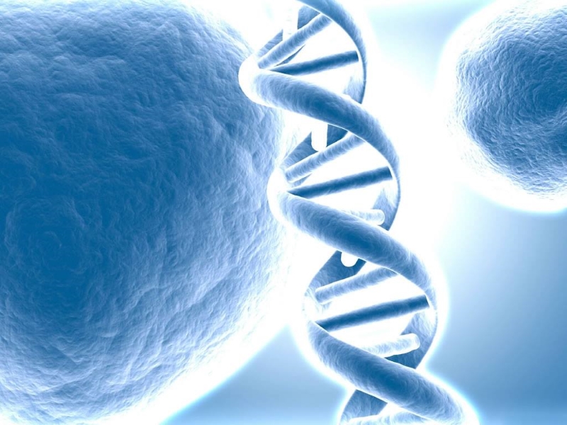 hgh treatments at dreambody clinic