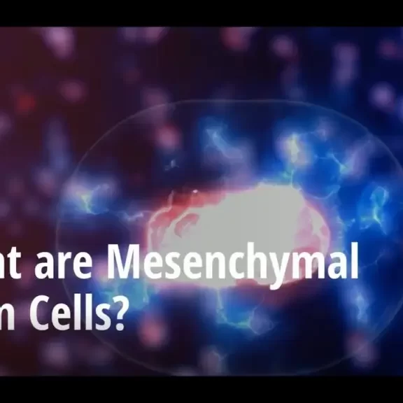 what are stem cells? How do stem cells work?