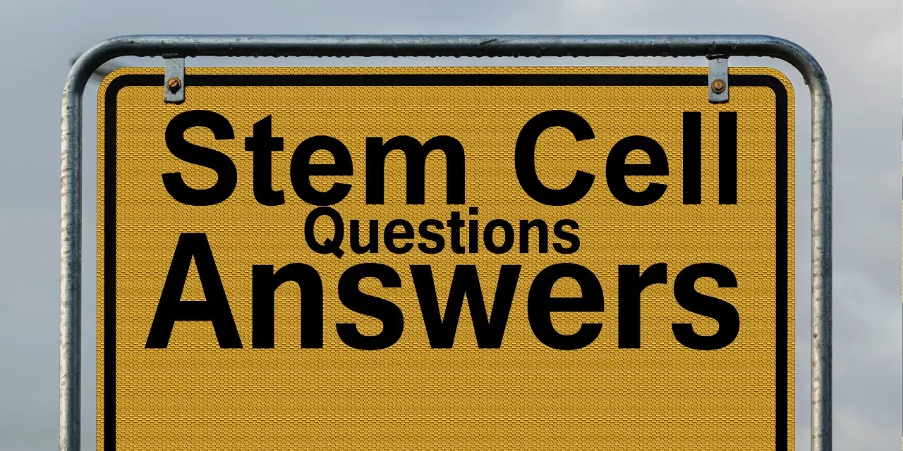 stem cell questions answers dreambody clinic