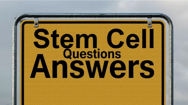 stem cell questions answers dreambody clinic