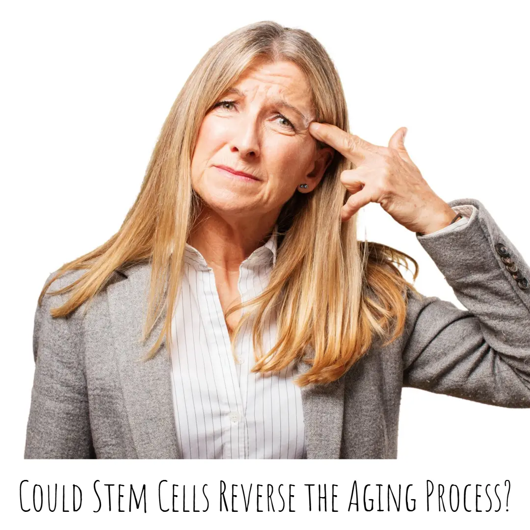 Could Stem Cells Reverse The Aging Process at dream body clinic