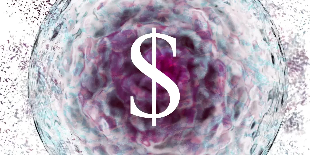 stem cell therapy cost at dream body clinic stem cells