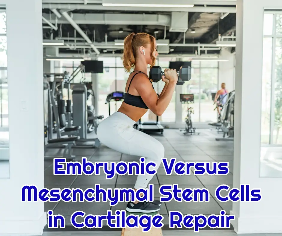 Embryonic-Versus-Mesenchymal-Stem-Cells-in-Cartilage-Repair-dream-body-clinic-stem-cells-for-arthritis