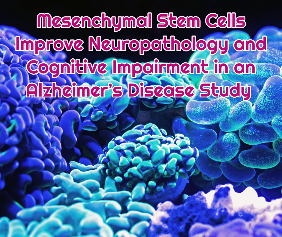 Mesenchymal Stem Cells Improve Neuropathology and Cognitive Impairment in an Alzheimer’s Disease Study at dream body clinic