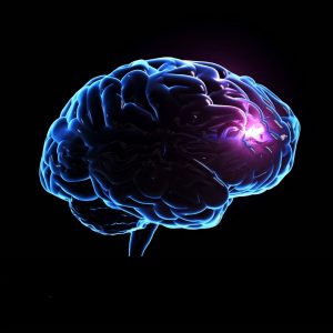 Traumatic Brain Injury stem cell treatment