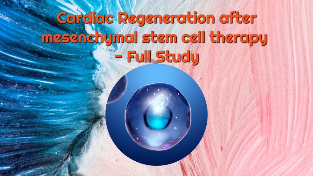 Cardiac Regeneration after mesenchymal stem cell therapy - Full Study