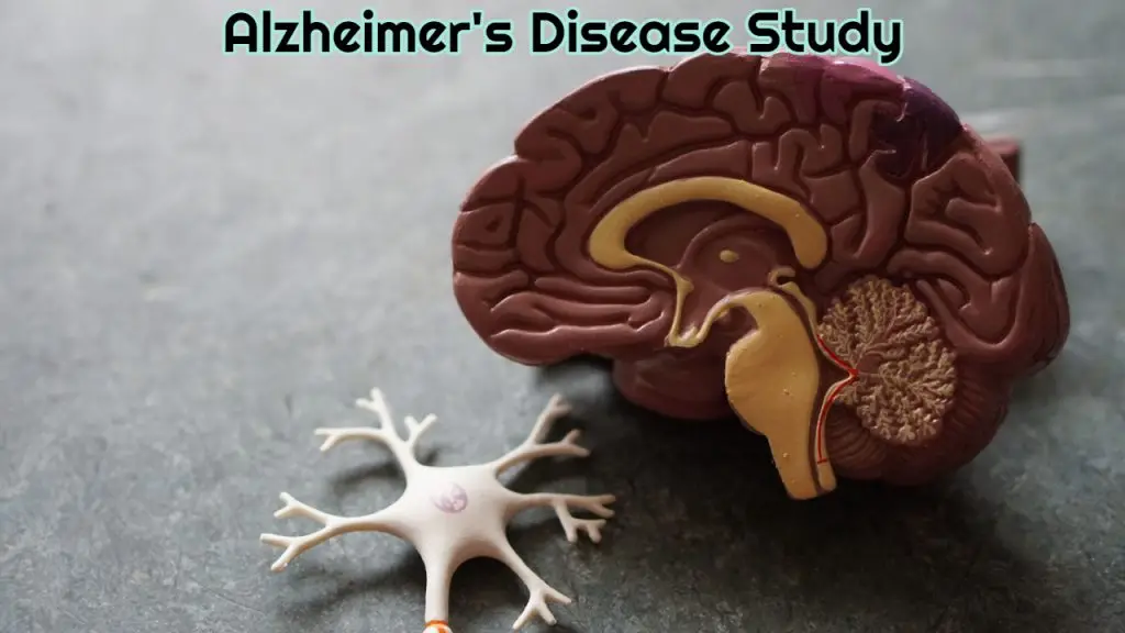 Alzheimer's Disease Study