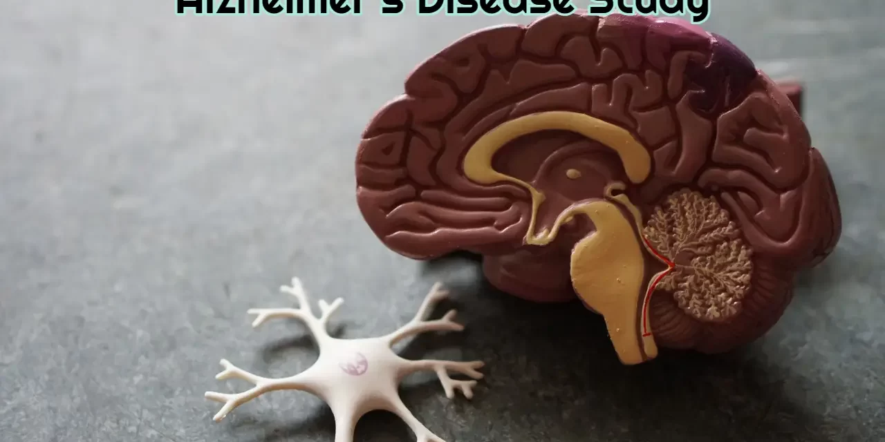 Alzheimer’s Disease Study Alzheimer's Disease Study