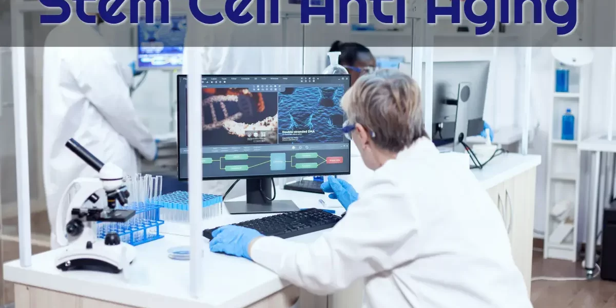 stem cell anti-aging at dream body clinic