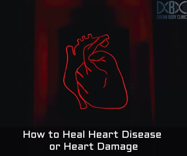 How to Heal Heart Disease or Heart Damage at dream body clinic How to Heal Heart Disease or Heart Damage