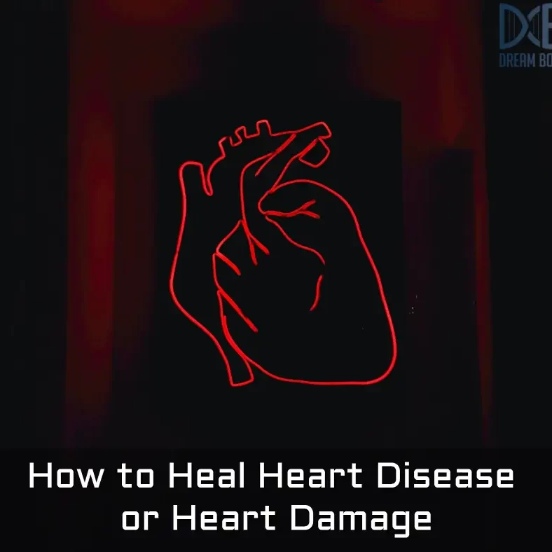 How to Heal Heart Disease or Heart Damage at dream body clinic How to Heal Heart Disease or Heart Damage