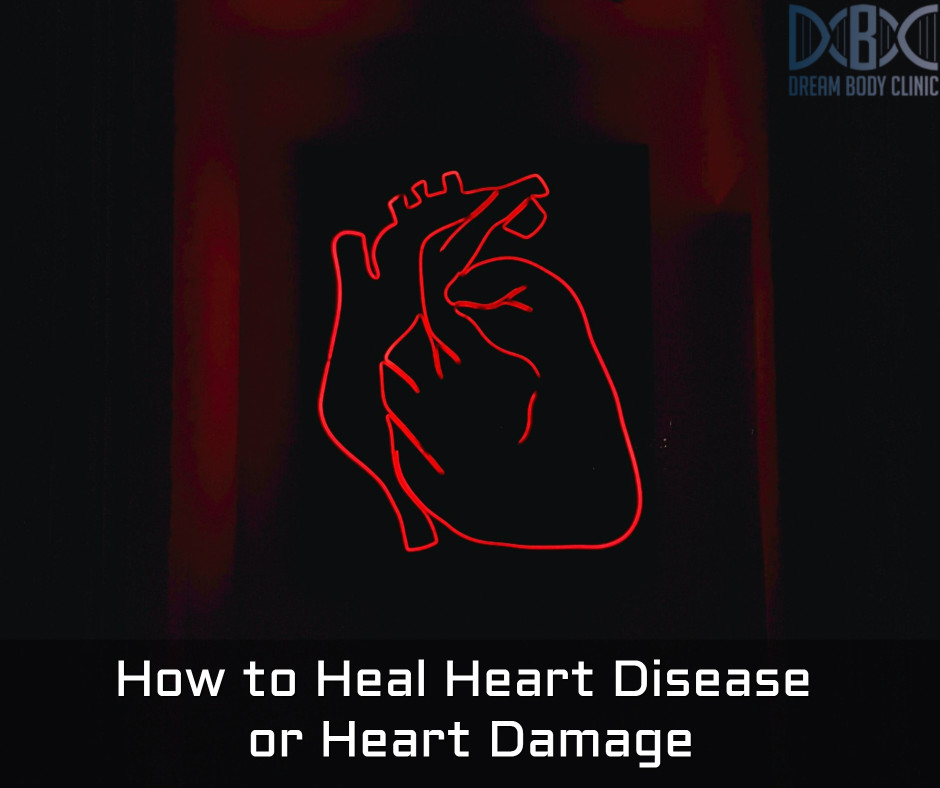 How to Heal Heart Disease or Heart Damage