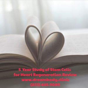 5 Year Study of Stem Cells for Heart Regeneration Review