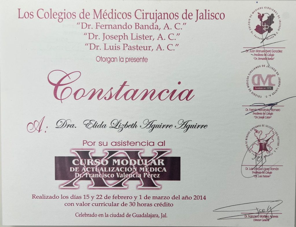Dr. Elida Lizbeth Aguirre Aguirre curso modular certificate