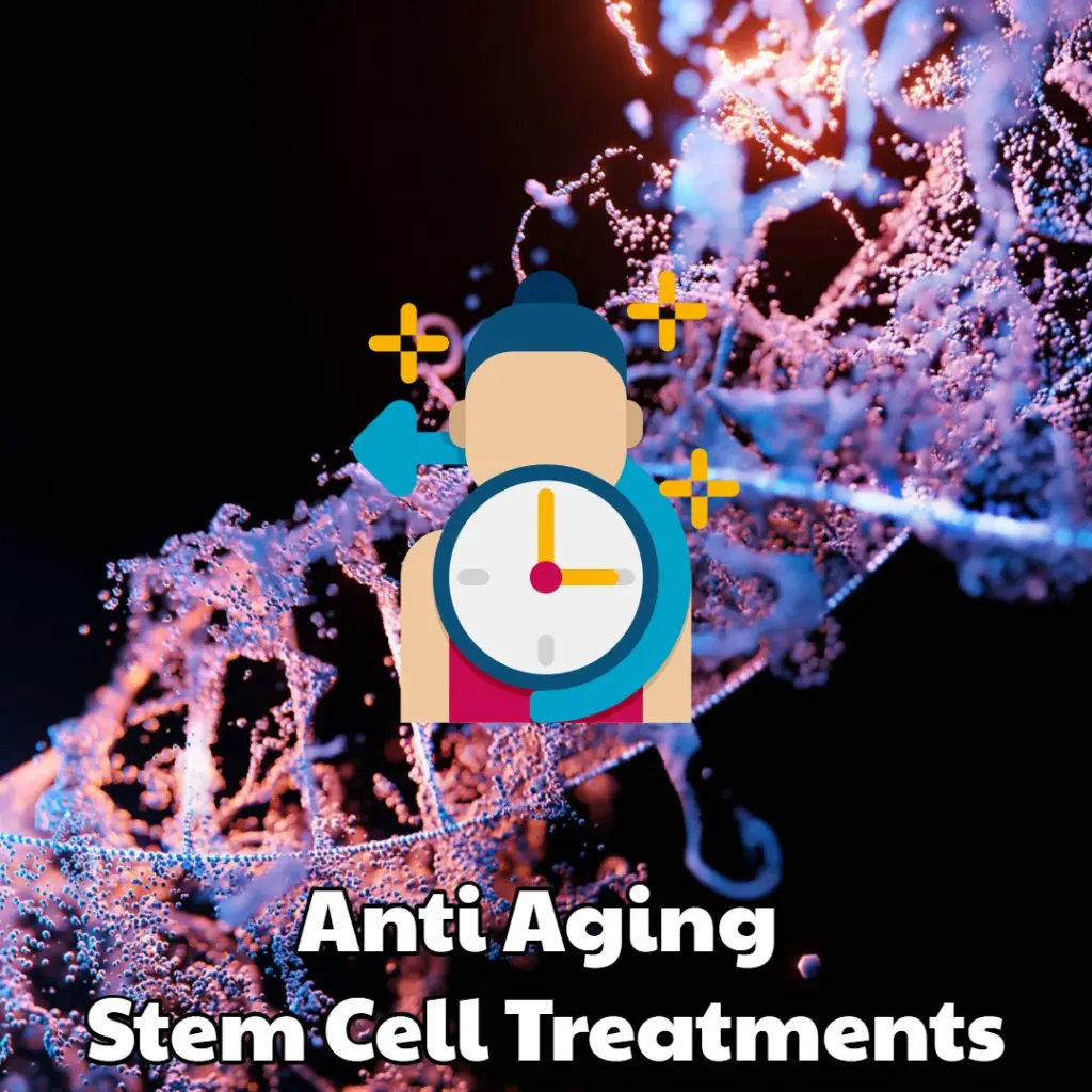 anti-aging stem cell treatments dream body clinic